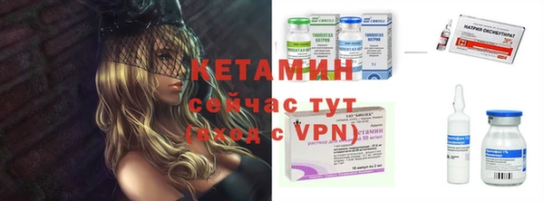сатива Аркадак