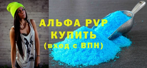 шишки Медвежьегорск