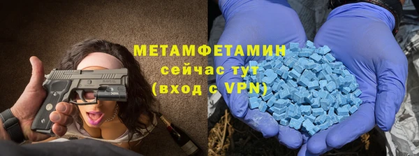 сатива Аркадак