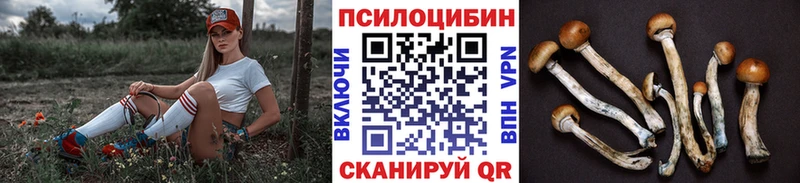 Псилоцибиновые грибы Cubensis Мончегорск